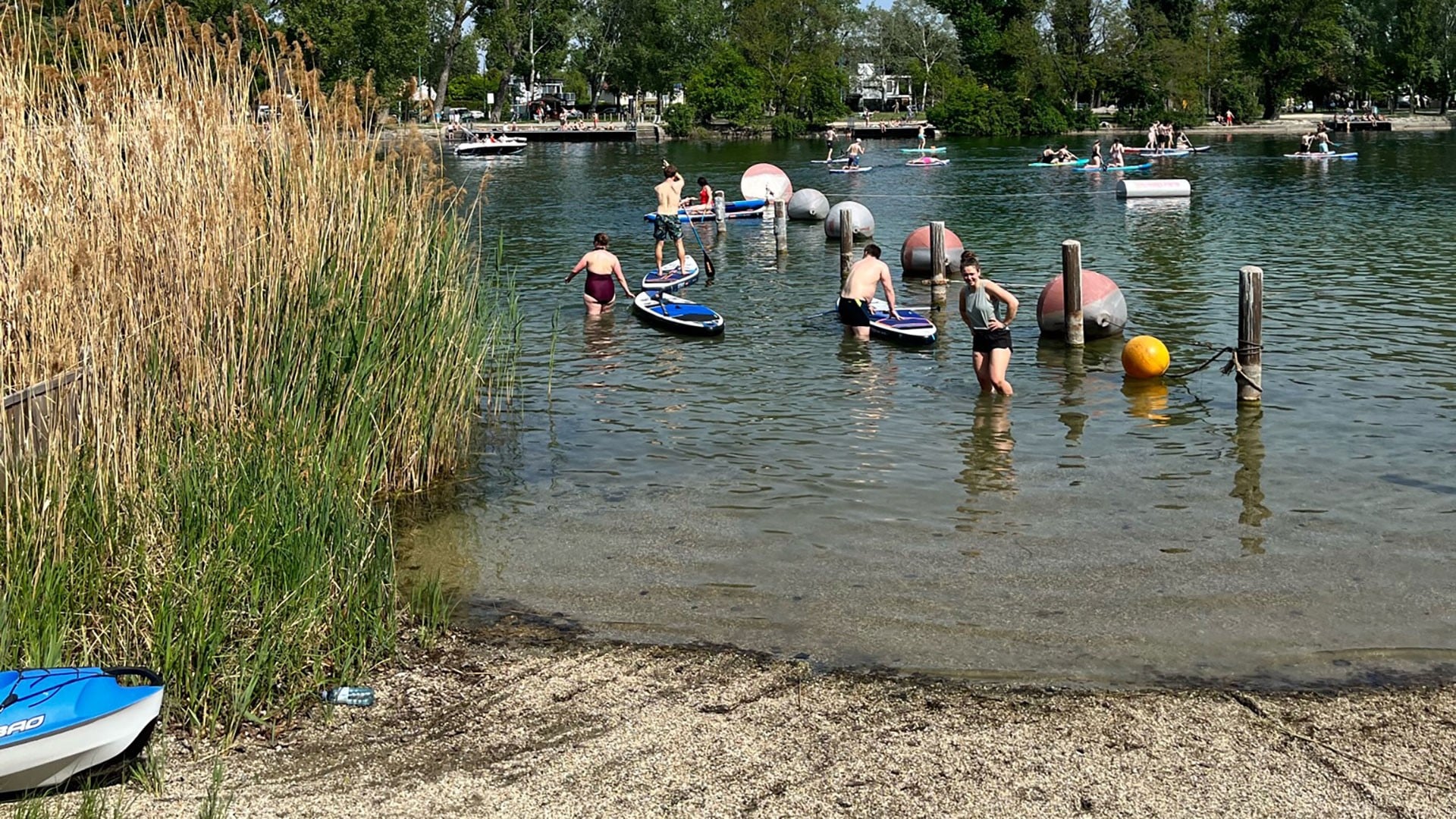 Stand Up Paddling & Kayak Center Wien Strandbad Gänsehäufel